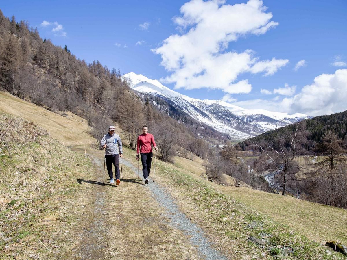 Sporttherapie, Nordic Walking